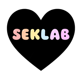 Seklab logo